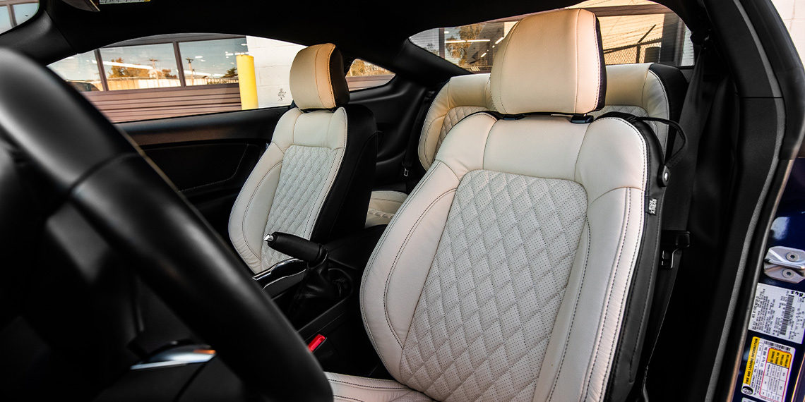 2019 Ford Mustang GT Daytona Racing Stripe Build